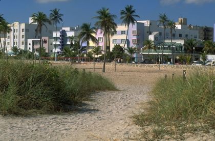 Enjoy the Magical City of Miami