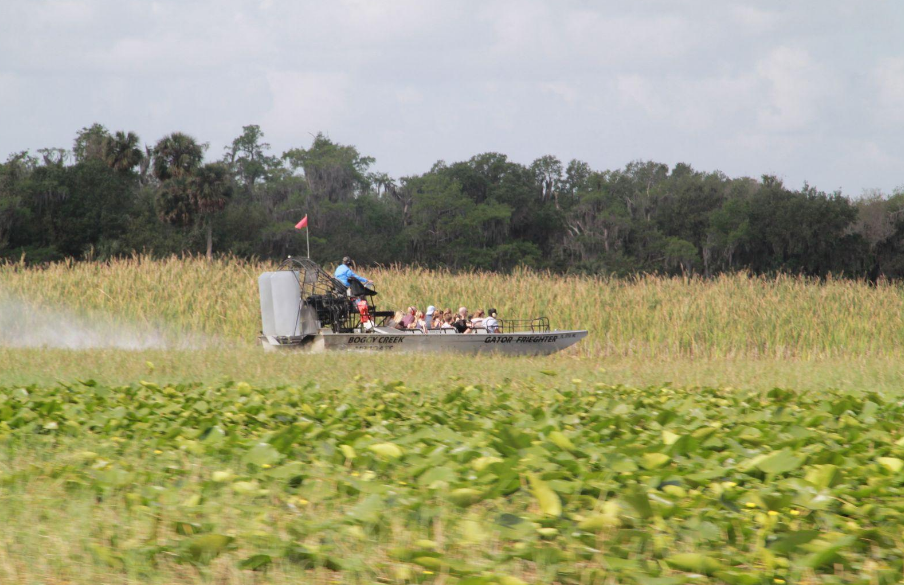 Boggy Creek