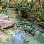 river tubing on rock springs at kelly park