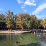 Swimming area at Kelly Park Springs with people on tubes in water