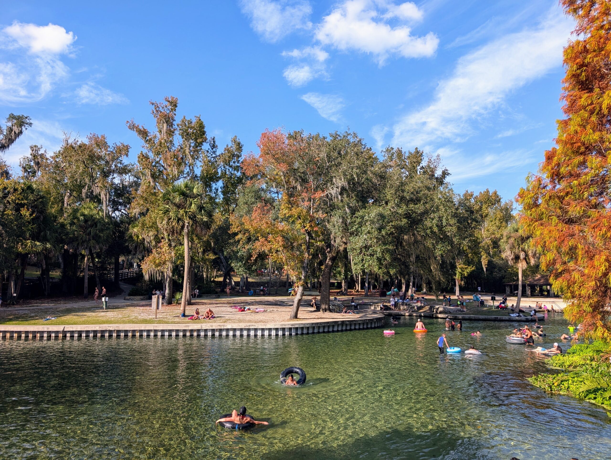swimming area at Kelly Park / Rock Springs